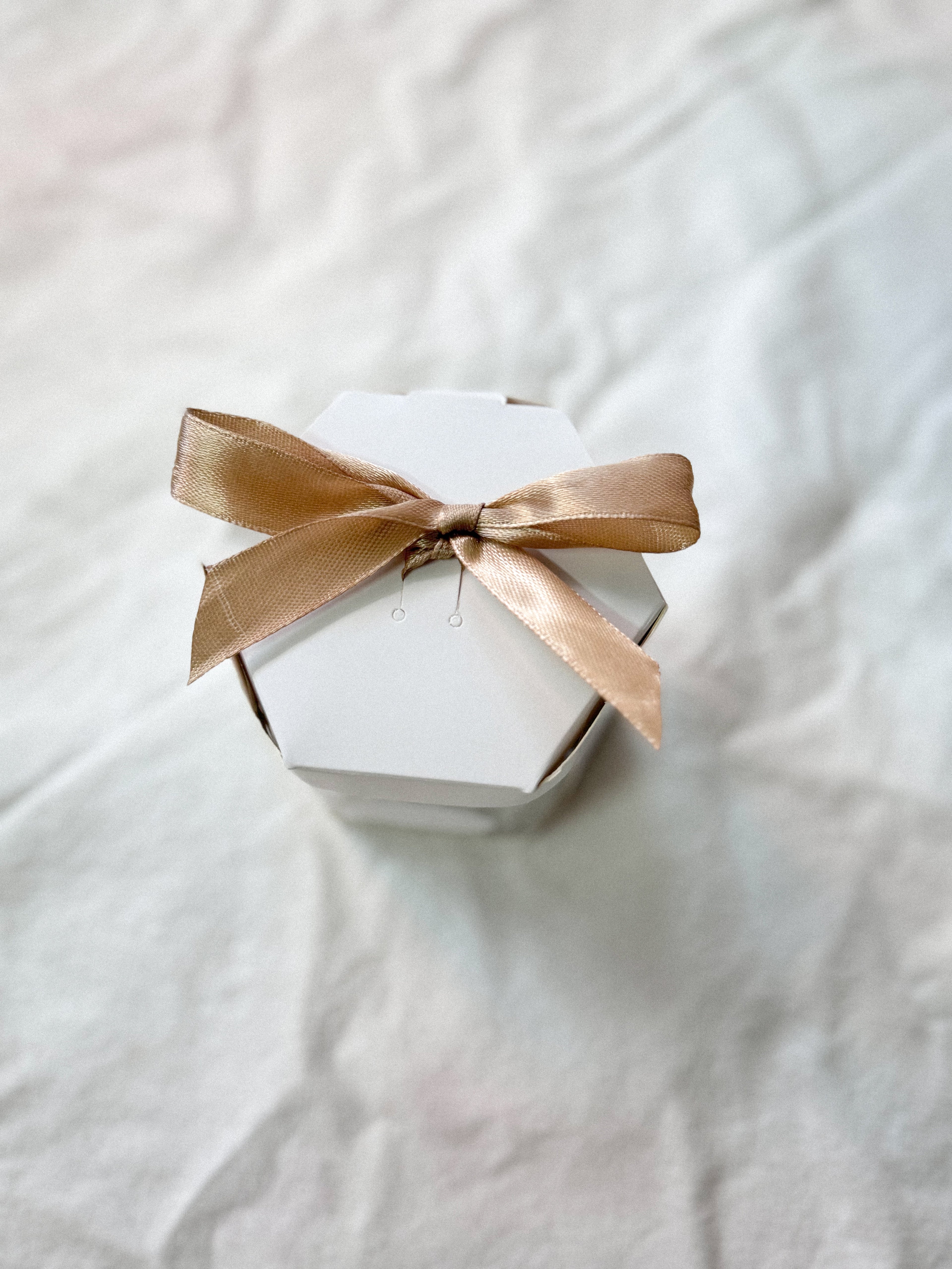 5件獨立包裝曲奇禮盒(10盒)